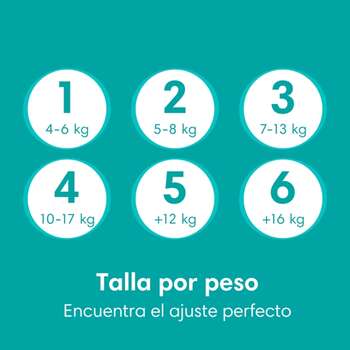 Pañales Pampers Baby-Dry 6 64u