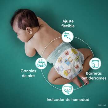 Pañales Pampers Baby-Dry 6 64u